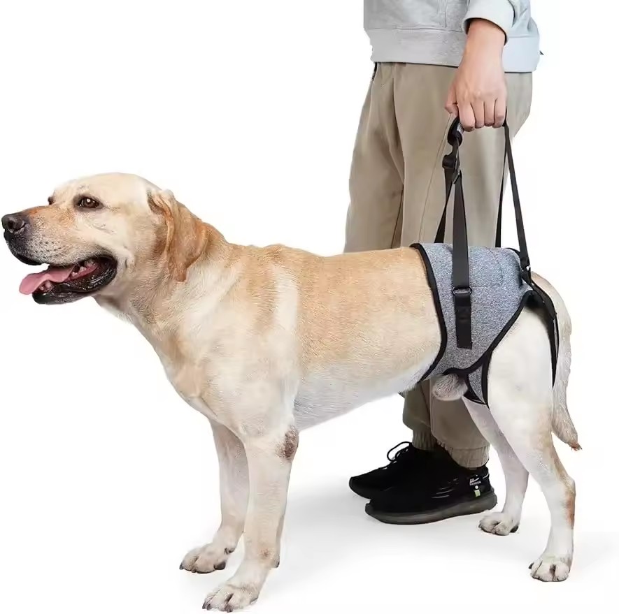 Adjustable Dog Lift Sling Hind - Lifting Belt recension och pris